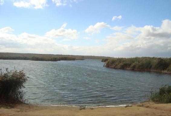 Сарпа озеро волгоградская область