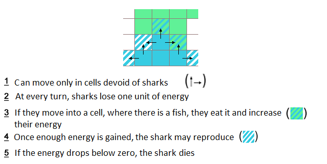 File:Shark rules.png