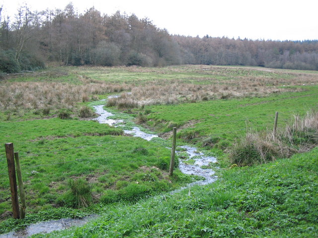 File:Shearwater Screen - geograph.org.uk - 149394.jpg