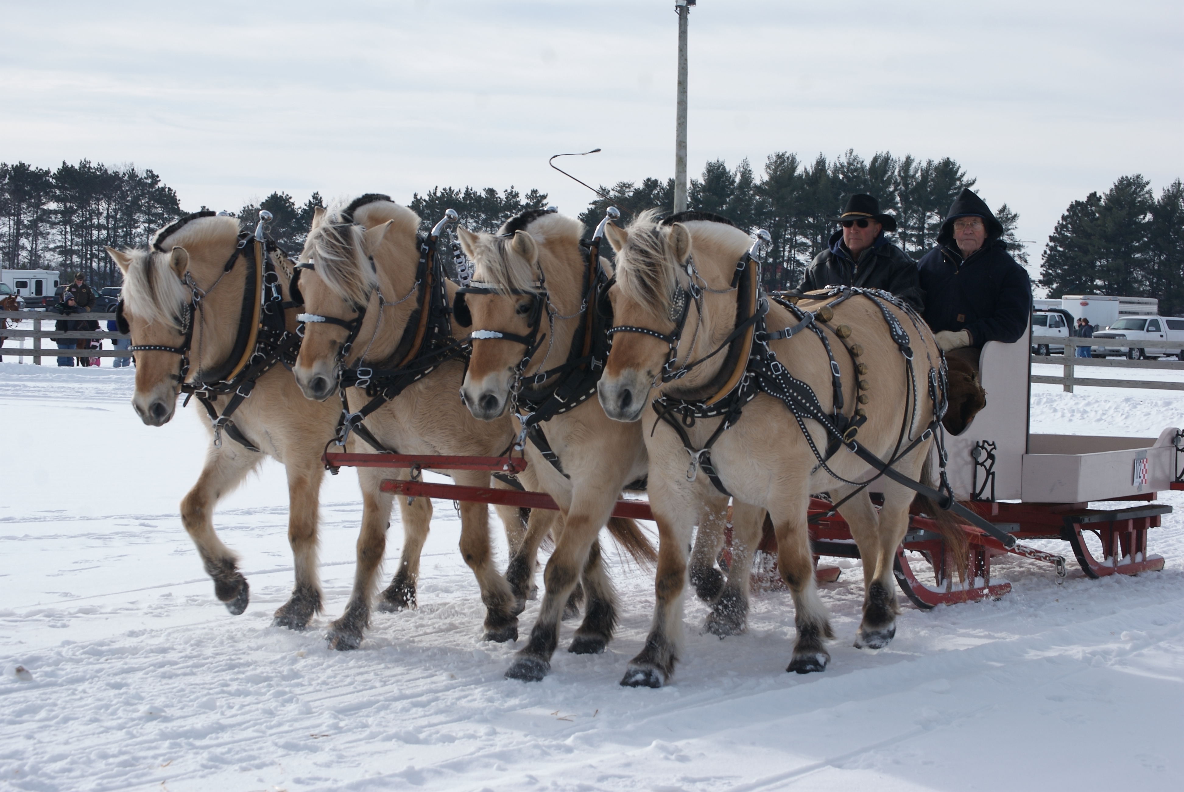 File:That's a LOT of horse power!.jpg - Wikimedia Commons