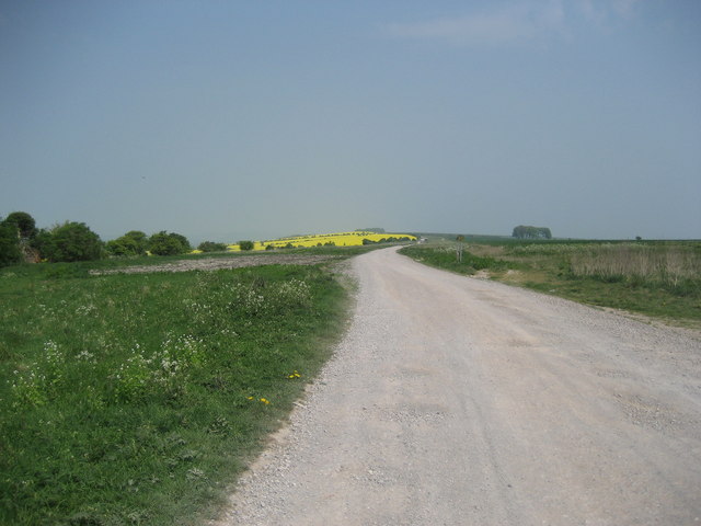 File:Track from Lavington Hill - geograph.org.uk - 430045.jpg