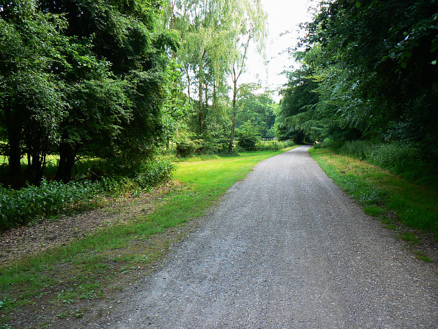 Savernake, Wiltshire