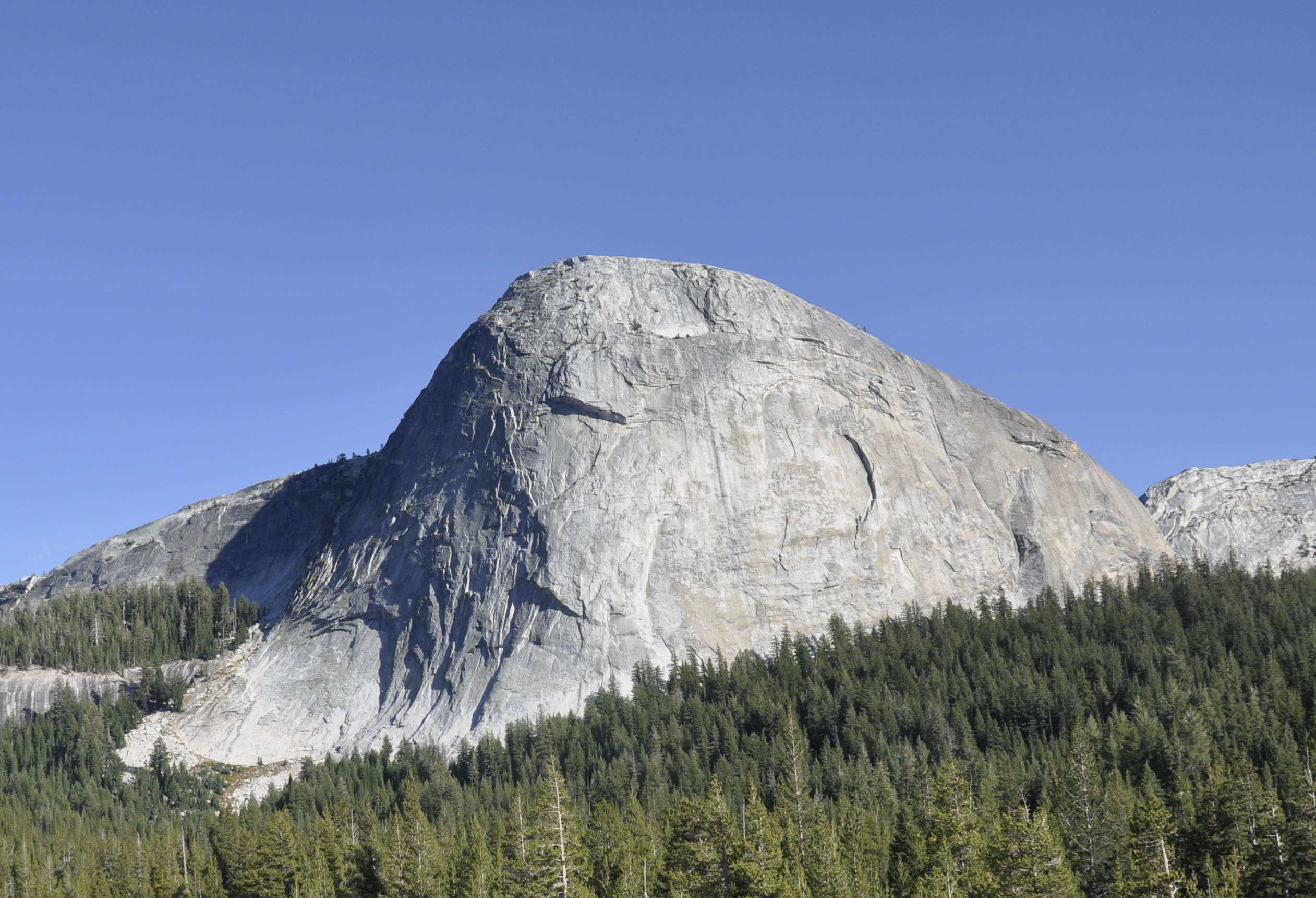 Photo of Fairview Dome