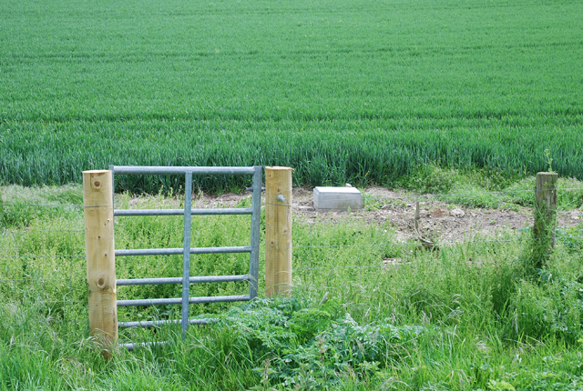 File:What wind pump^ - geograph.org.uk - 439453.jpg