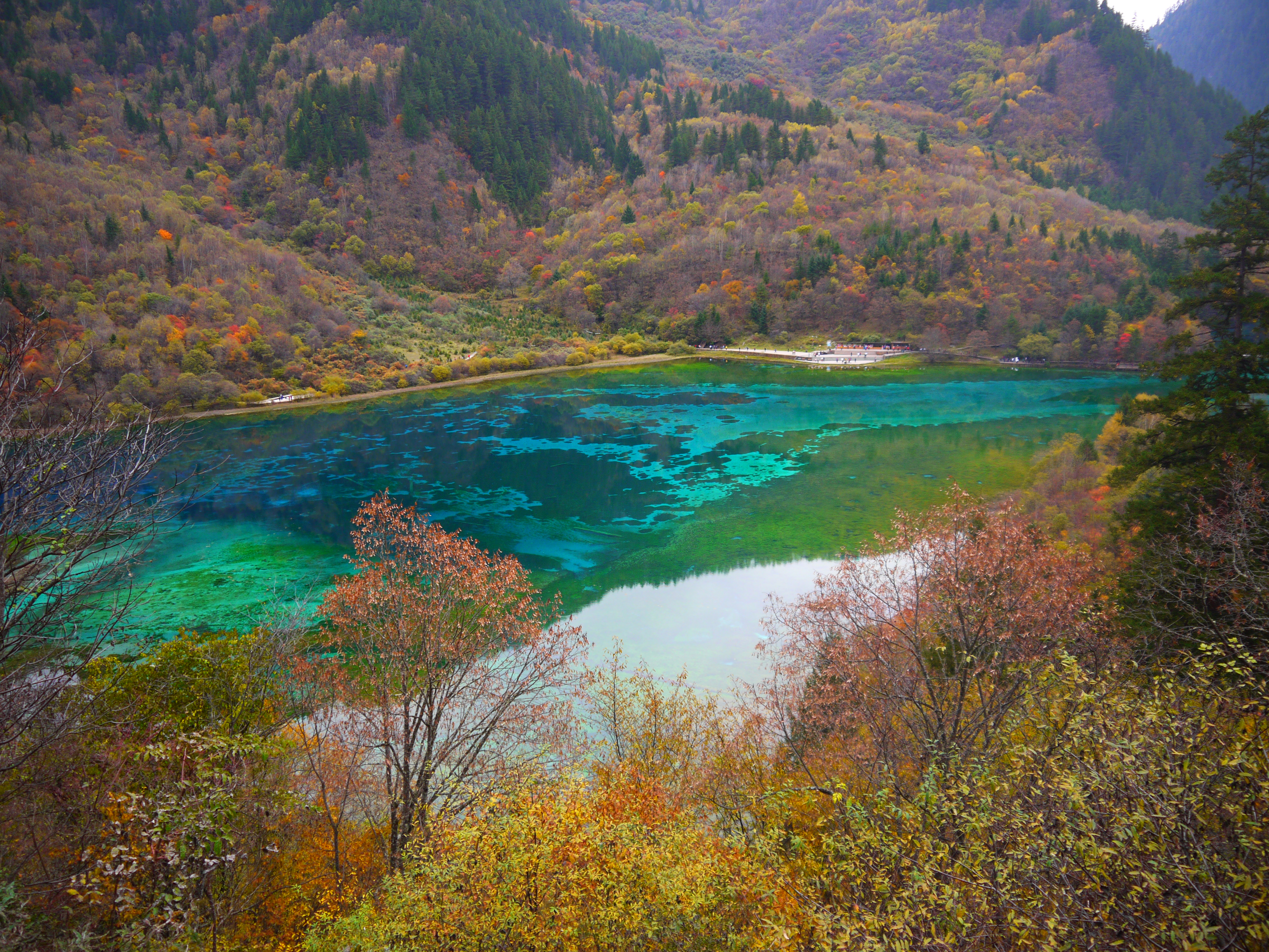 File 九寨溝 五花海 Jiuzhaigou Five Flower Lake Jpg Wikipedia