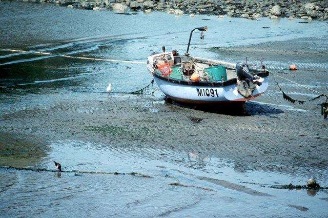 File:Abercastle at low tide - geograph.org.uk - 932546.jpg