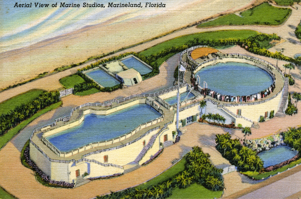 File:Aerial view of Marine Studios, Marineland, Florida.jpg