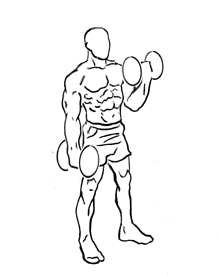 File:Alternate-bicep-curl-2.png