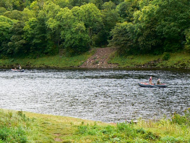 File:Anglers on the Tay - geograph.org.uk - 566076.jpg