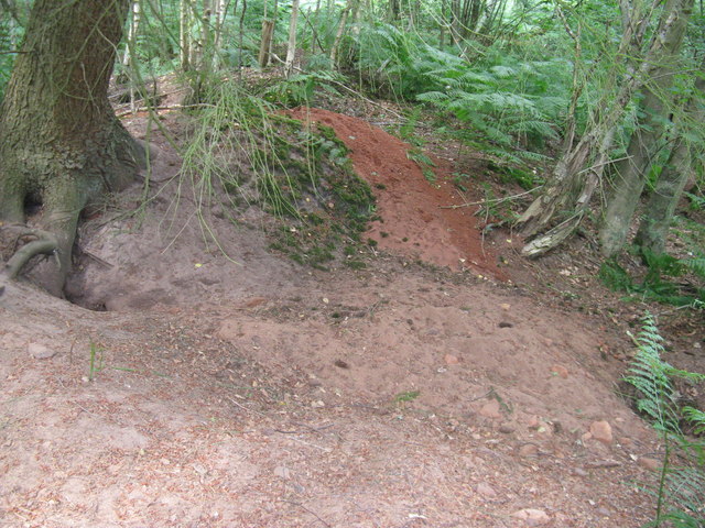 File:Badger Sett near Crouch Farm - geograph.org.uk - 1377117.jpg