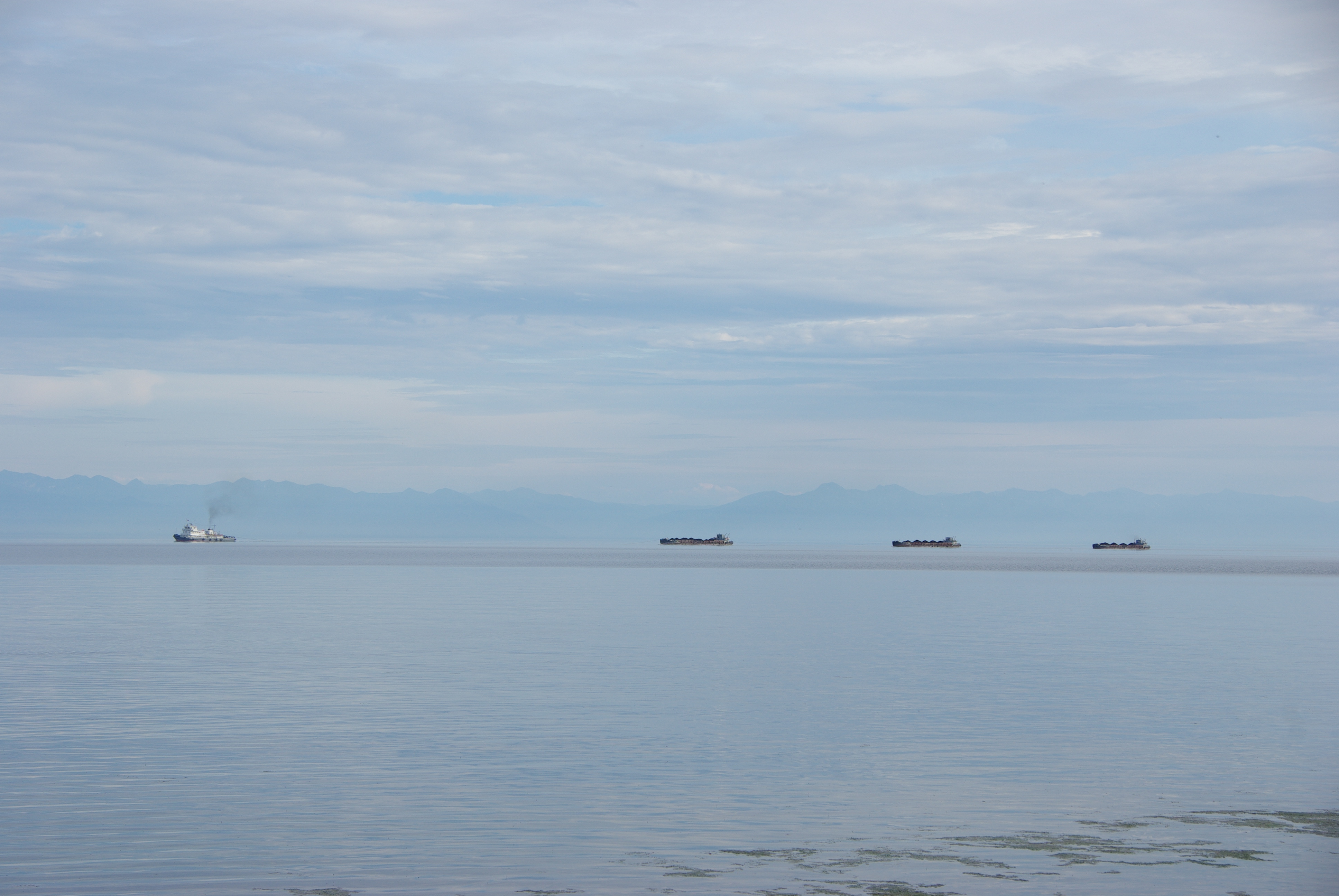 Байкал море мертвых. Новоснежная Байкал. Baikal Sea директор. Baikal Sea Московского офиса.