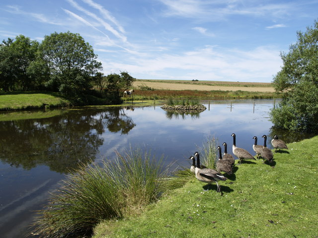 Buckton, East Riding of Yorkshire