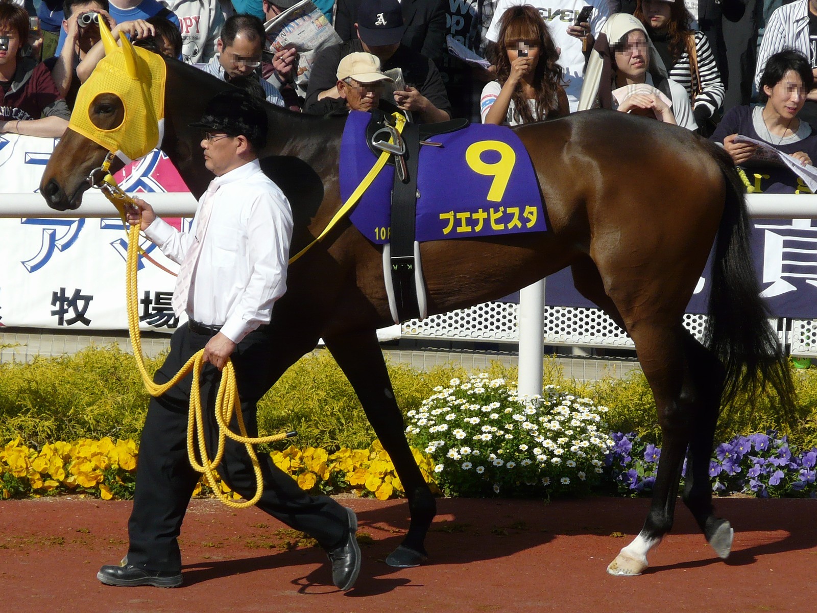 非売品 フジキセキ たてがみ 馬毛 ノーザンホースパーク 競馬 - その他