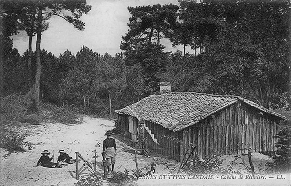 Cabane de résinier