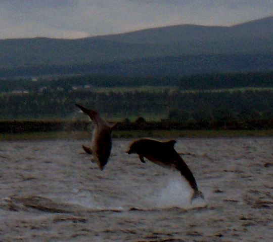 File:Chanonry Point.jpg