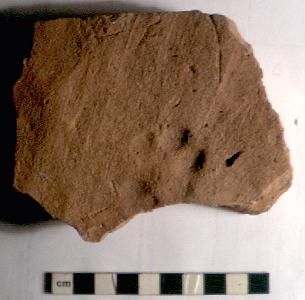 File:Concangis Paw tile.jpg