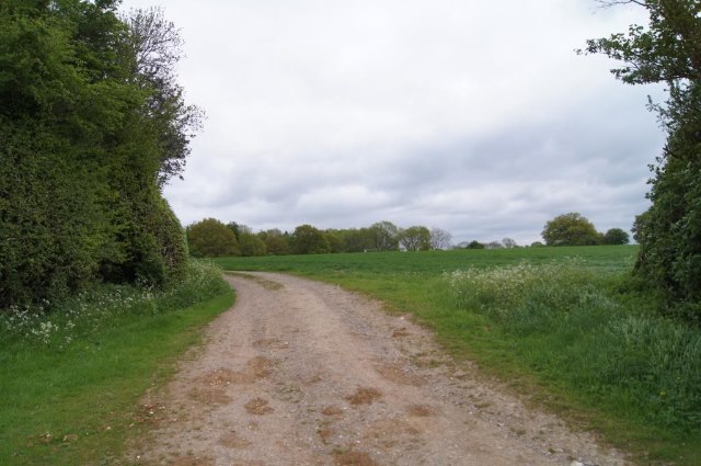 File:Farm track - bridleway - Woodmancott Down - geograph.org.uk - 3549726.jpg