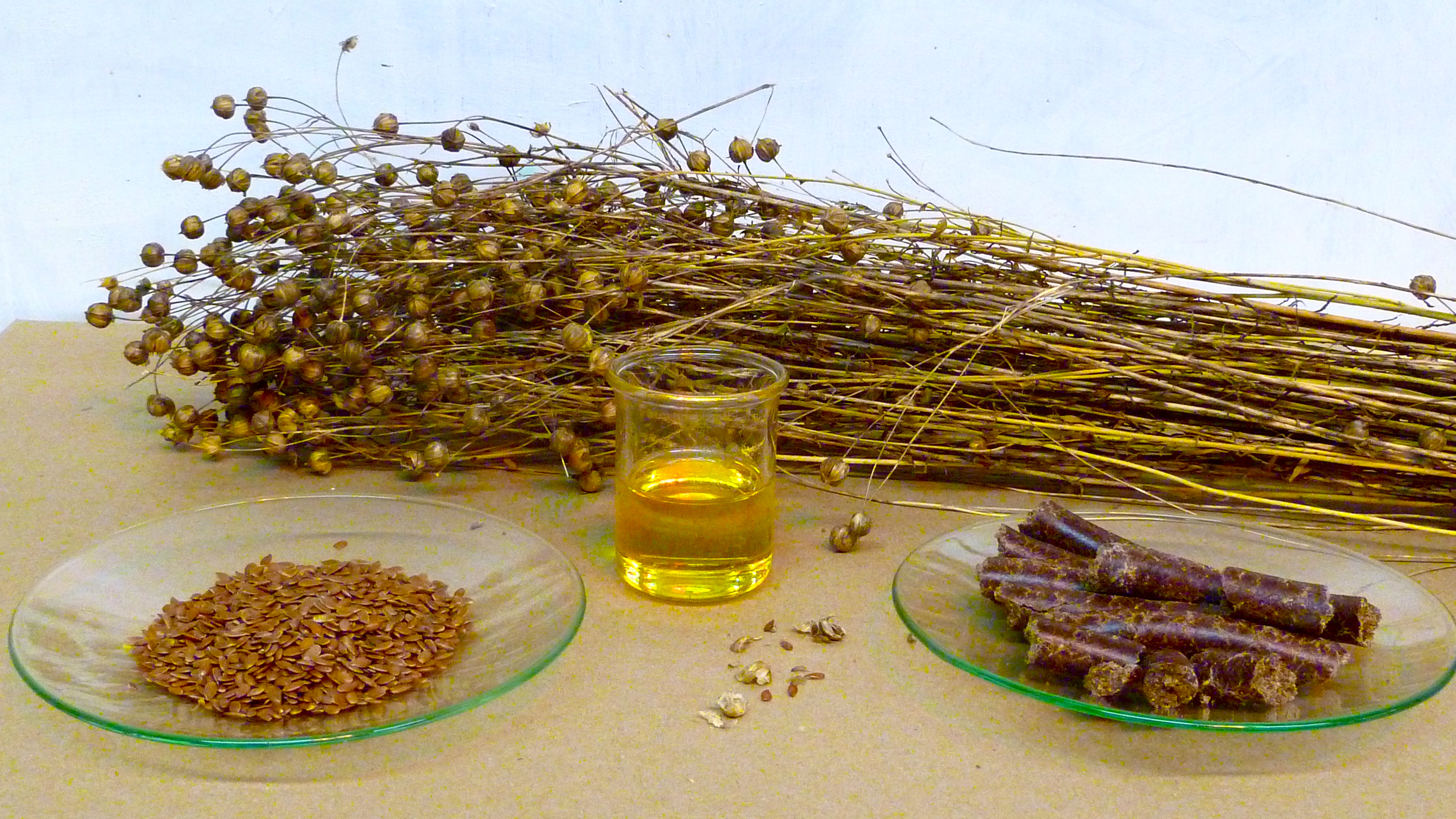 Лен масло семян семена україна