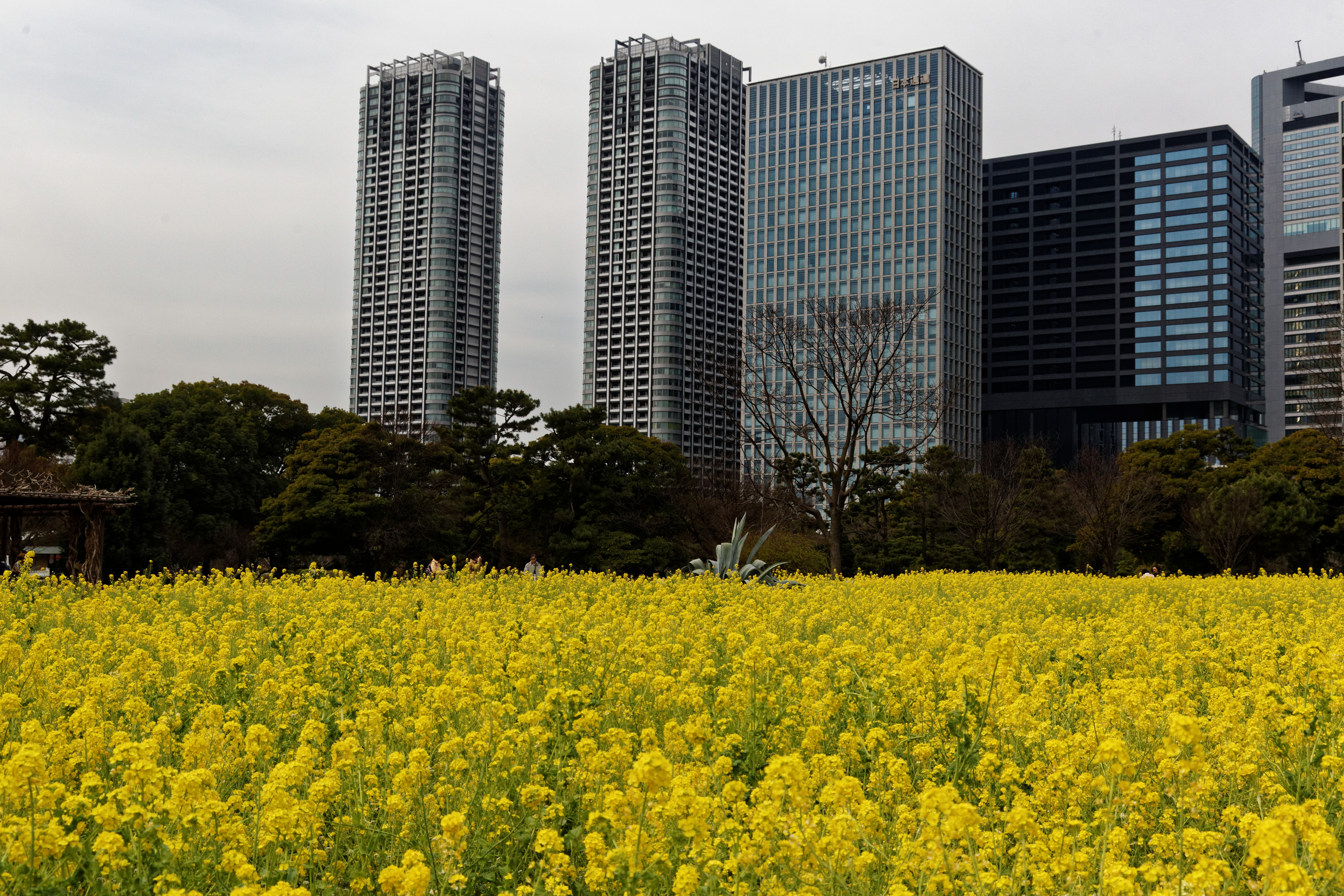 File Hama Rikyu Garden 3 23 26315045121 Jpg Wikimedia Commons
