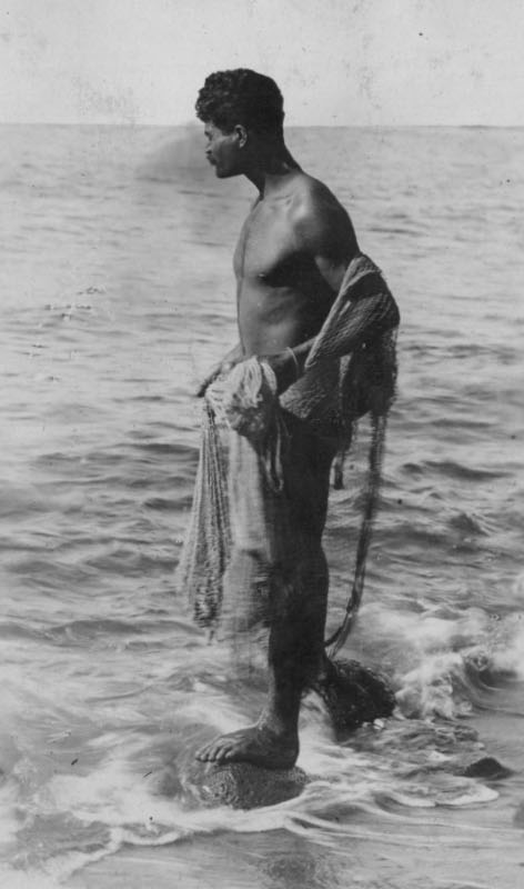 File:Hawaiian fisherman with throw net (PP-22-1-026).jpg - Wikimedia Commons