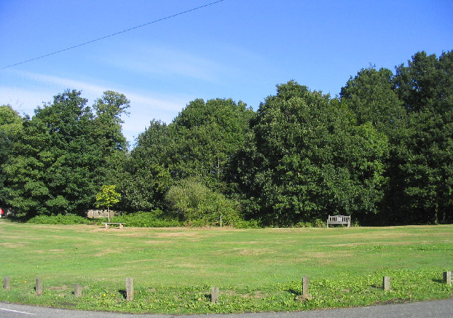 File:Headley Common, Great Warley - geograph.org.uk - 54485.jpg