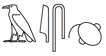 File Hieroglyphic Brain Png Wikimedia Commons