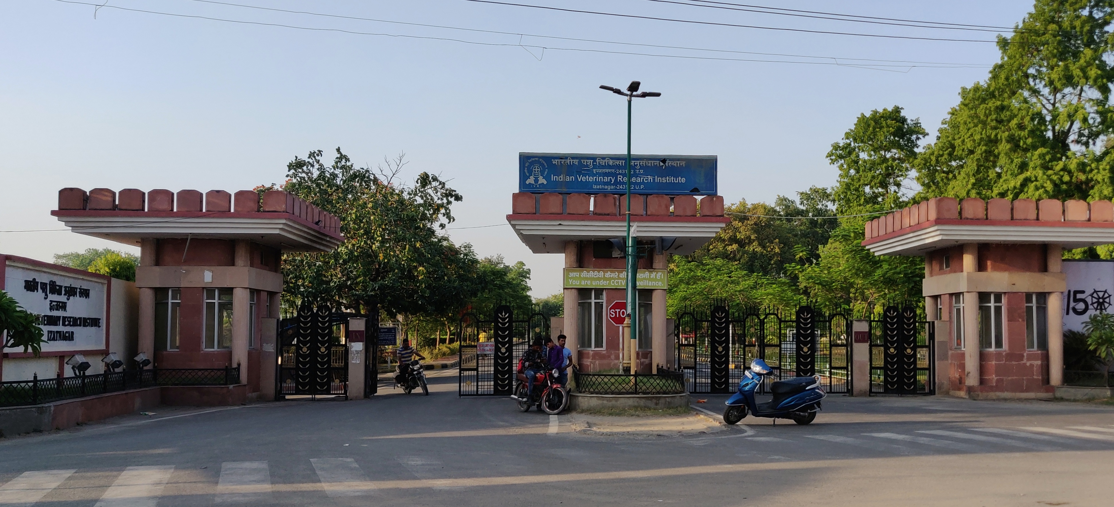  Indian Veterinary Research Institute, Bareilly, Top 10 Institutes and Universities For Research In India
