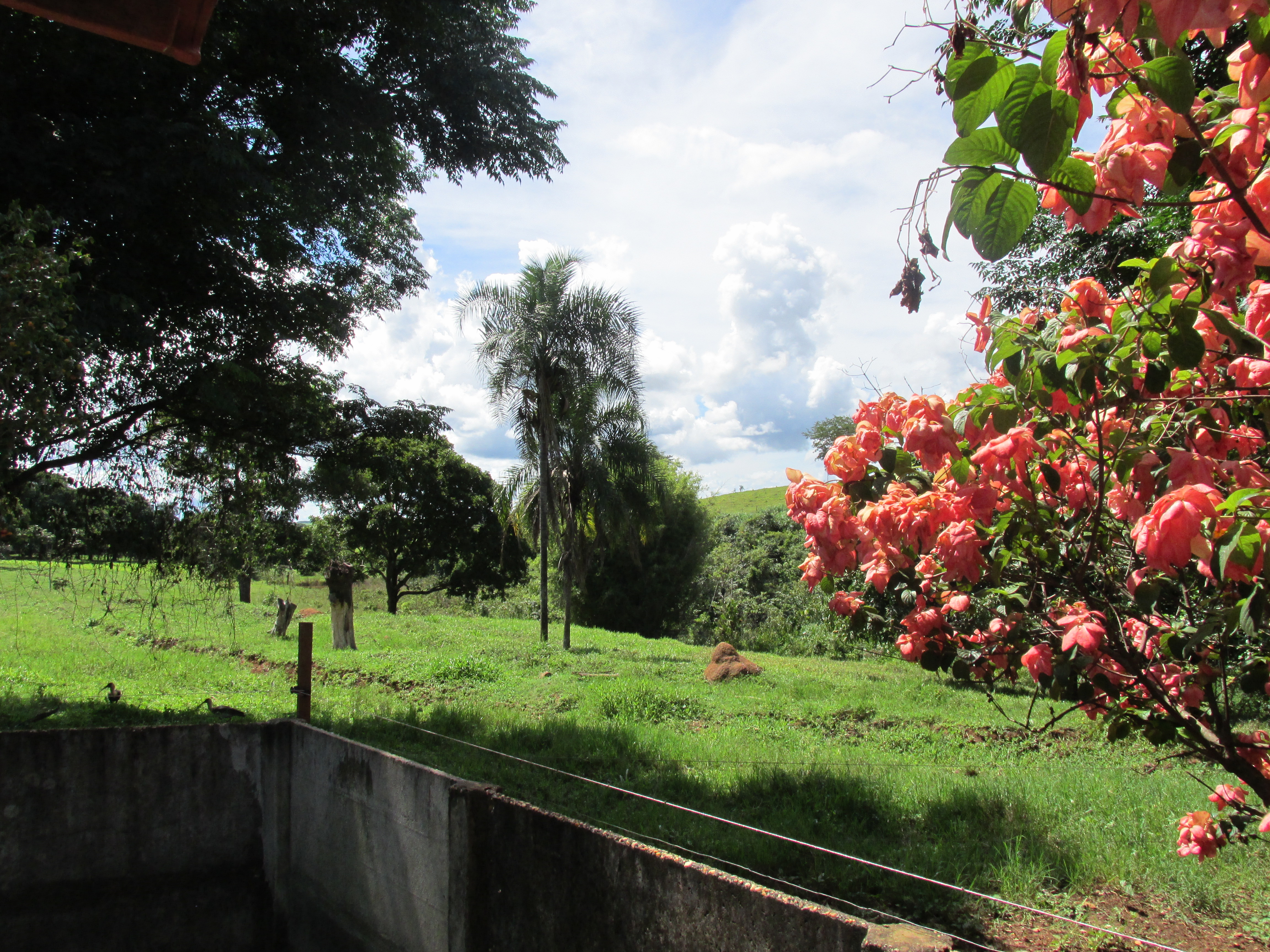 File:Itaberaí - State of Goiás, Brazil - panoramio (1).jpg ...