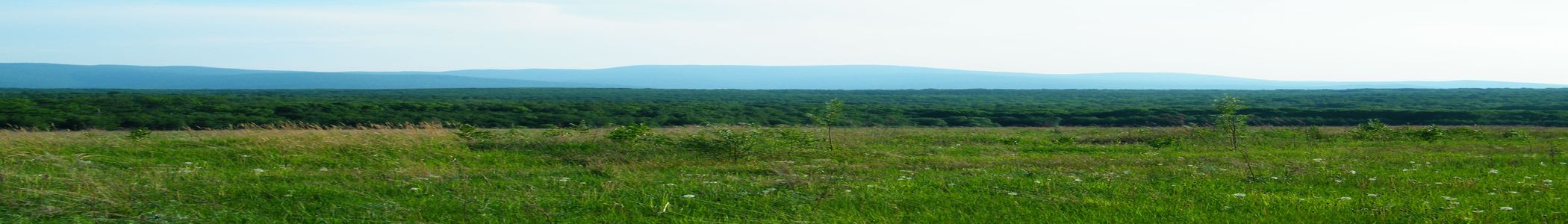 Село ленинское хабаровский край. Тейсин природа.