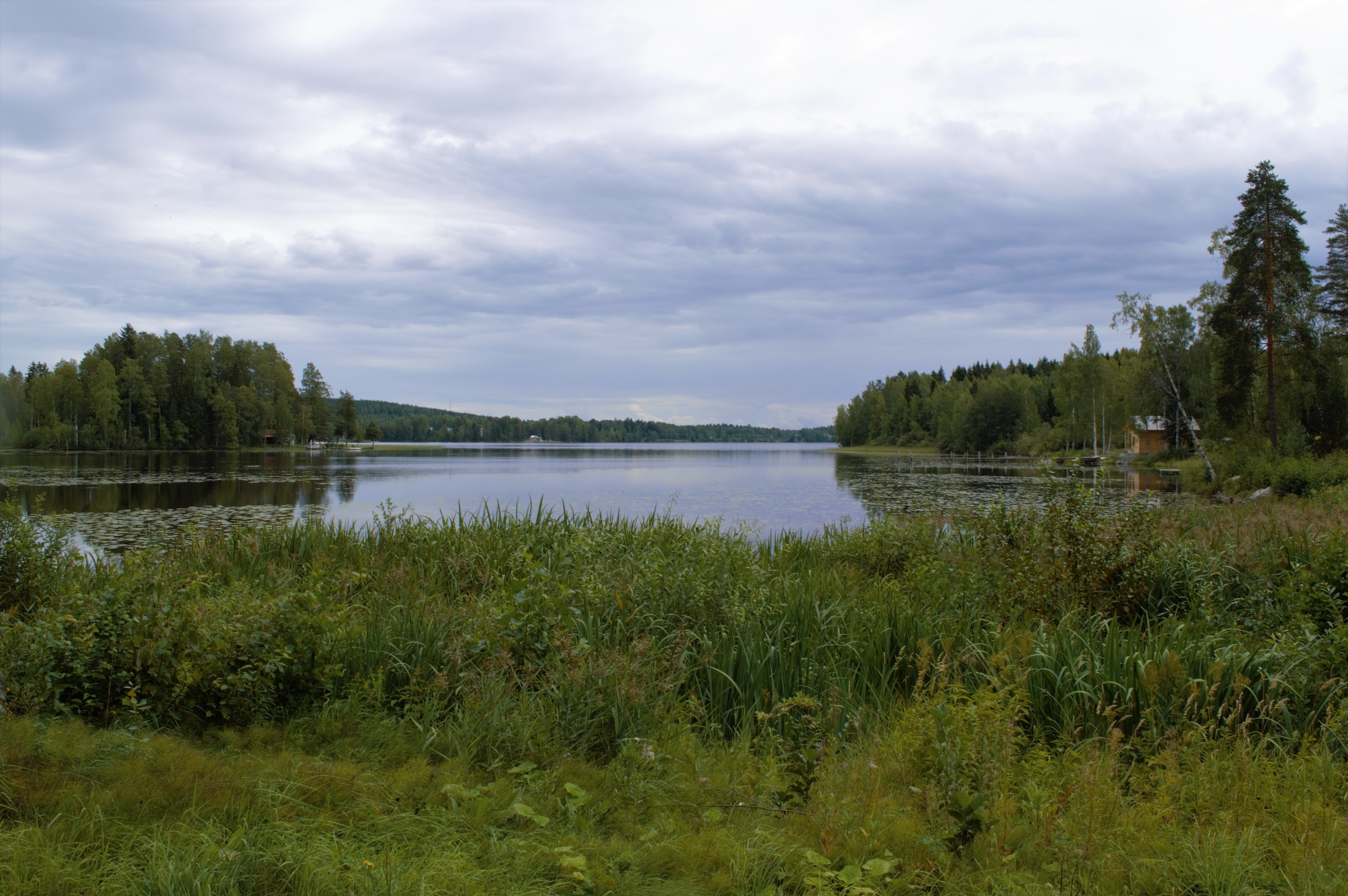 Sääksjärvi (järvi Pirkanmaalla) – Wikipedia
