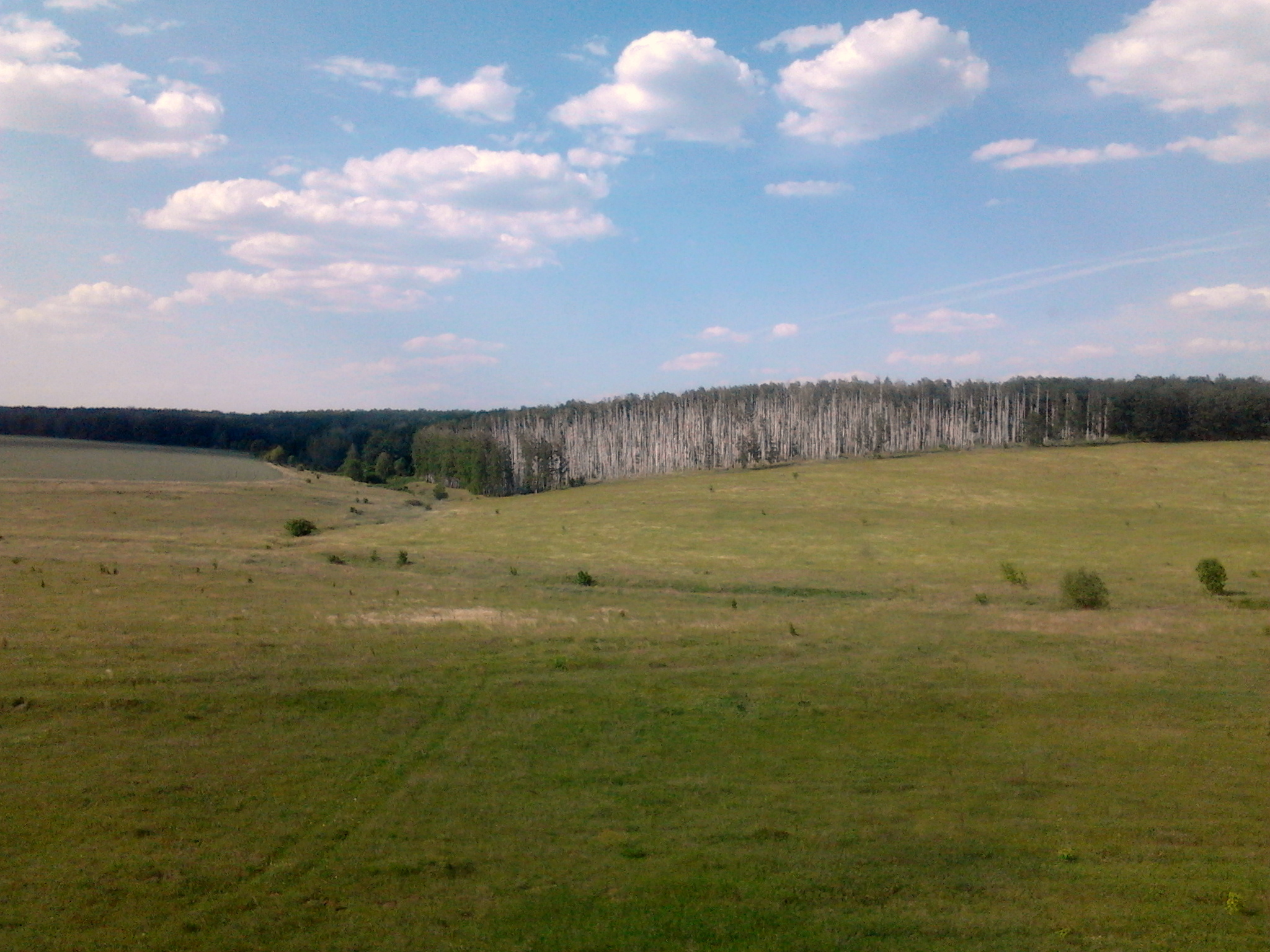 Липецкая область неделю. Село Аннино Липецкая область. Новая Поляна Липецкая область. Леденевка Липецкая область панорама. Мягкие Липецкая область.