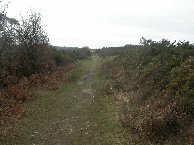 File:Middlebere Plateway - geograph.org.uk - 1201946.jpg