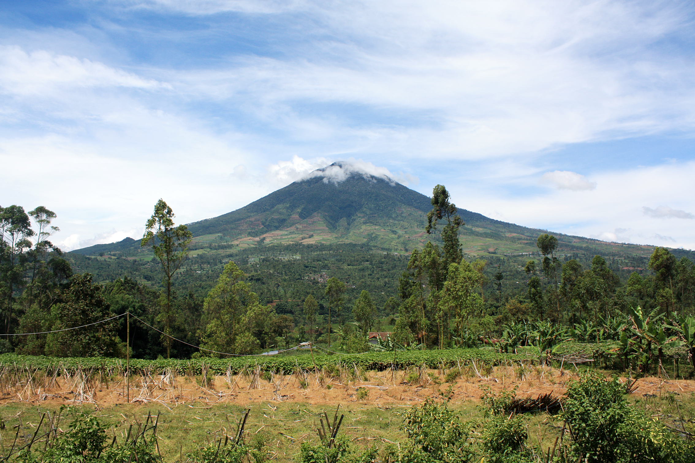 Gunung Cikuray