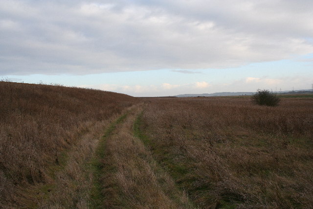 File:Nagden Marshes - geograph.org.uk - 96190.jpg