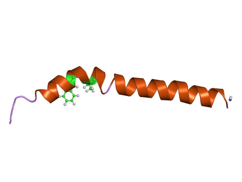 File:PDB 1go9 EBI.jpg