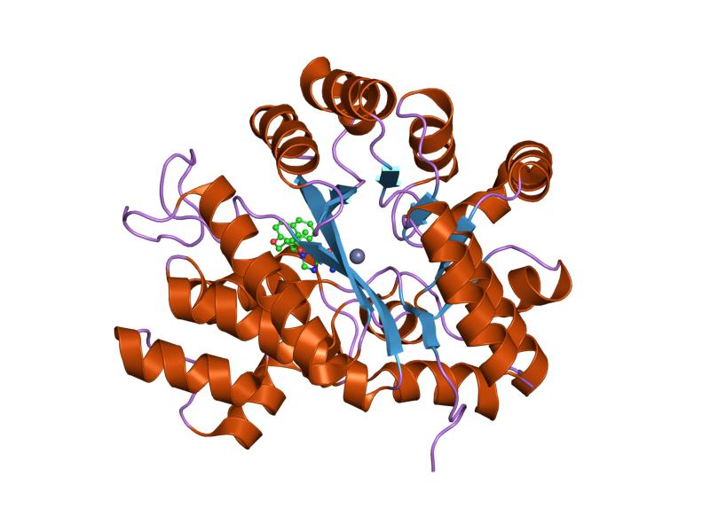 File:PDB 1v7a EBI.jpg