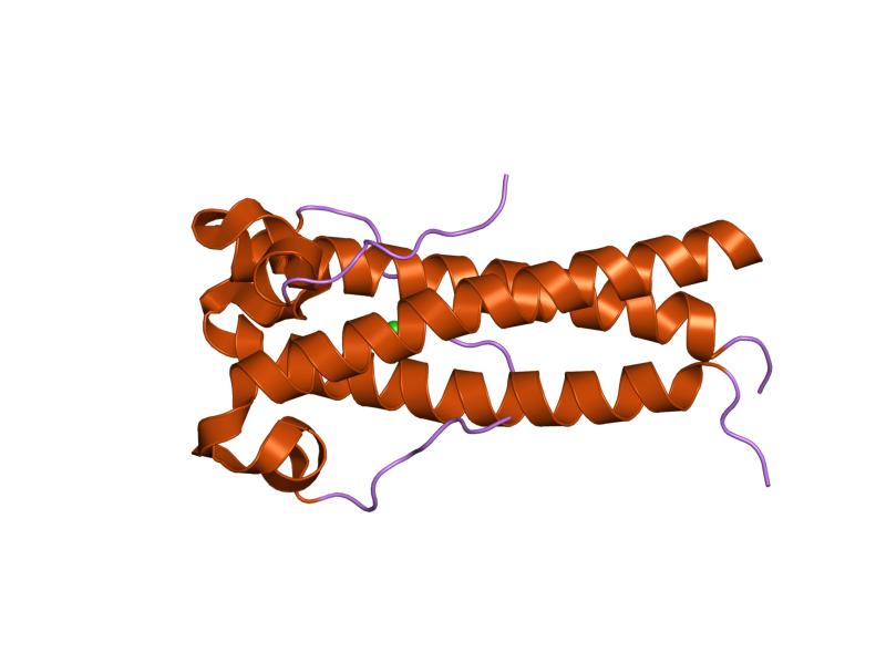 File:PDB 1y4m EBI.jpg