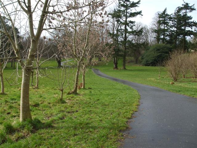 File:Path, McCauley Park - geograph.org.uk - 1196400.jpg