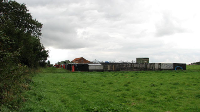 File:Pens for rearing pheasants - geograph.org.uk - 575765.jpg