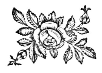 File:Piers Ploughman Decoration 18.png