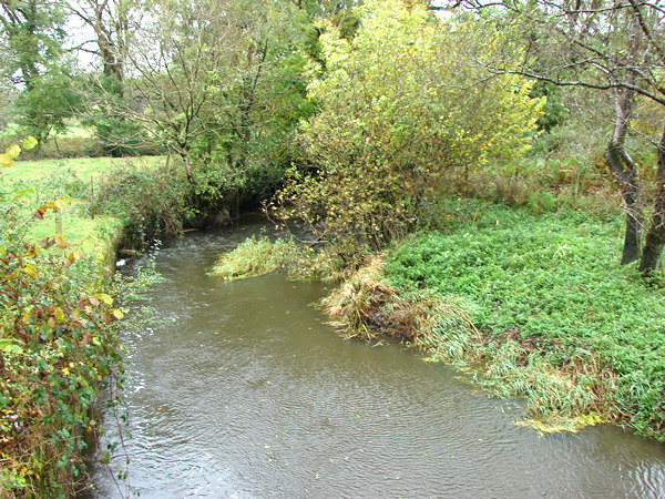 File:River Waldon from the A388 bridge - geograph.org.uk - 602207.jpg