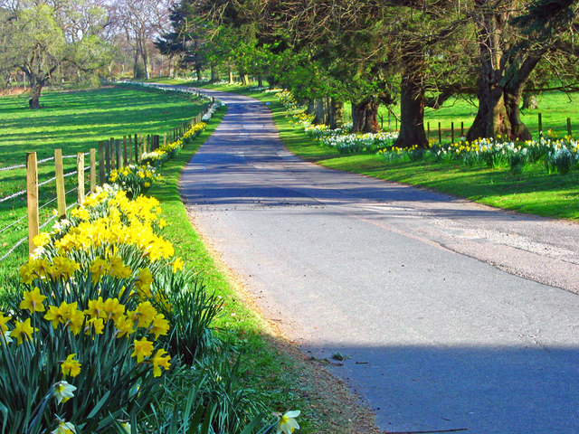 File:Road leading to Drum Castle - geograph.org.uk - 590340.jpg