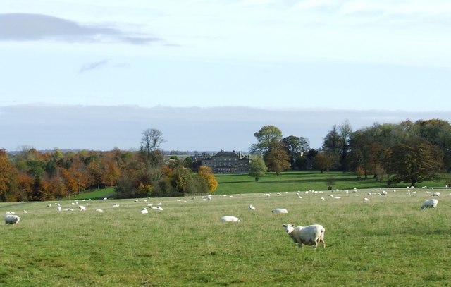 File:Salperton park on an autumnal morning - geograph.org.uk - 1556253.jpg