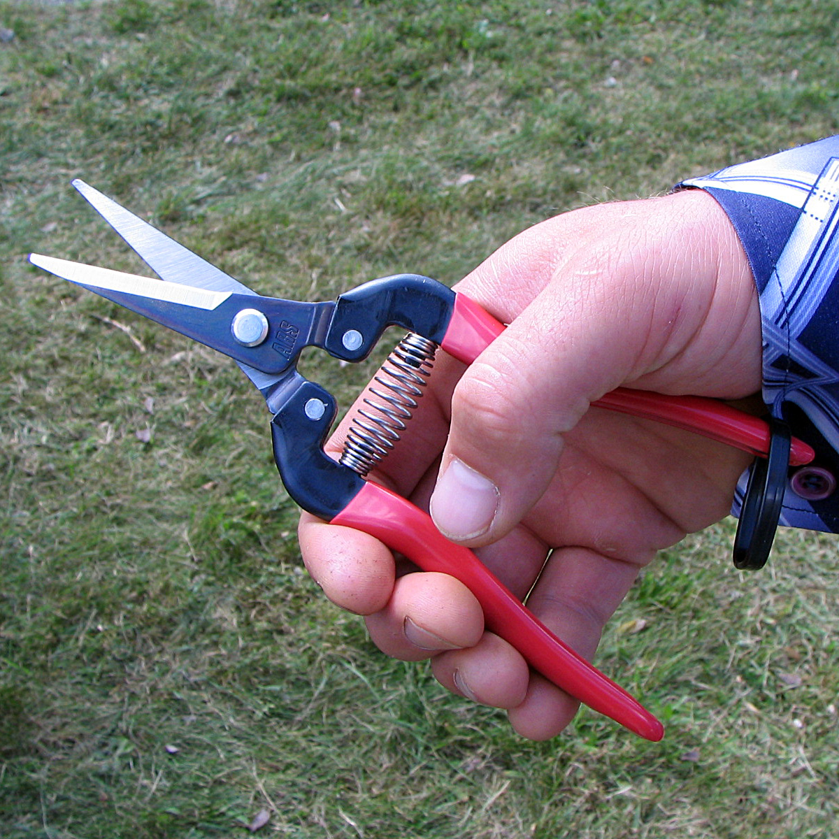 Pruning shears - Wikipedia