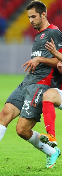 Goran Gogić