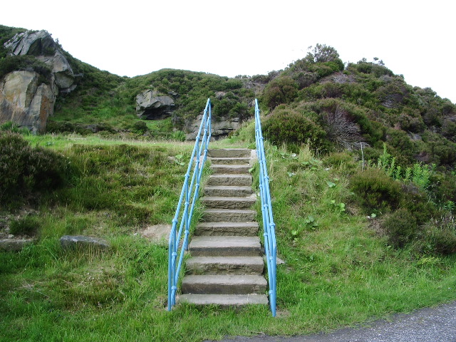 File:Steps in Horrocks Fold Quarries - geograph.org.uk - 501195.jpg