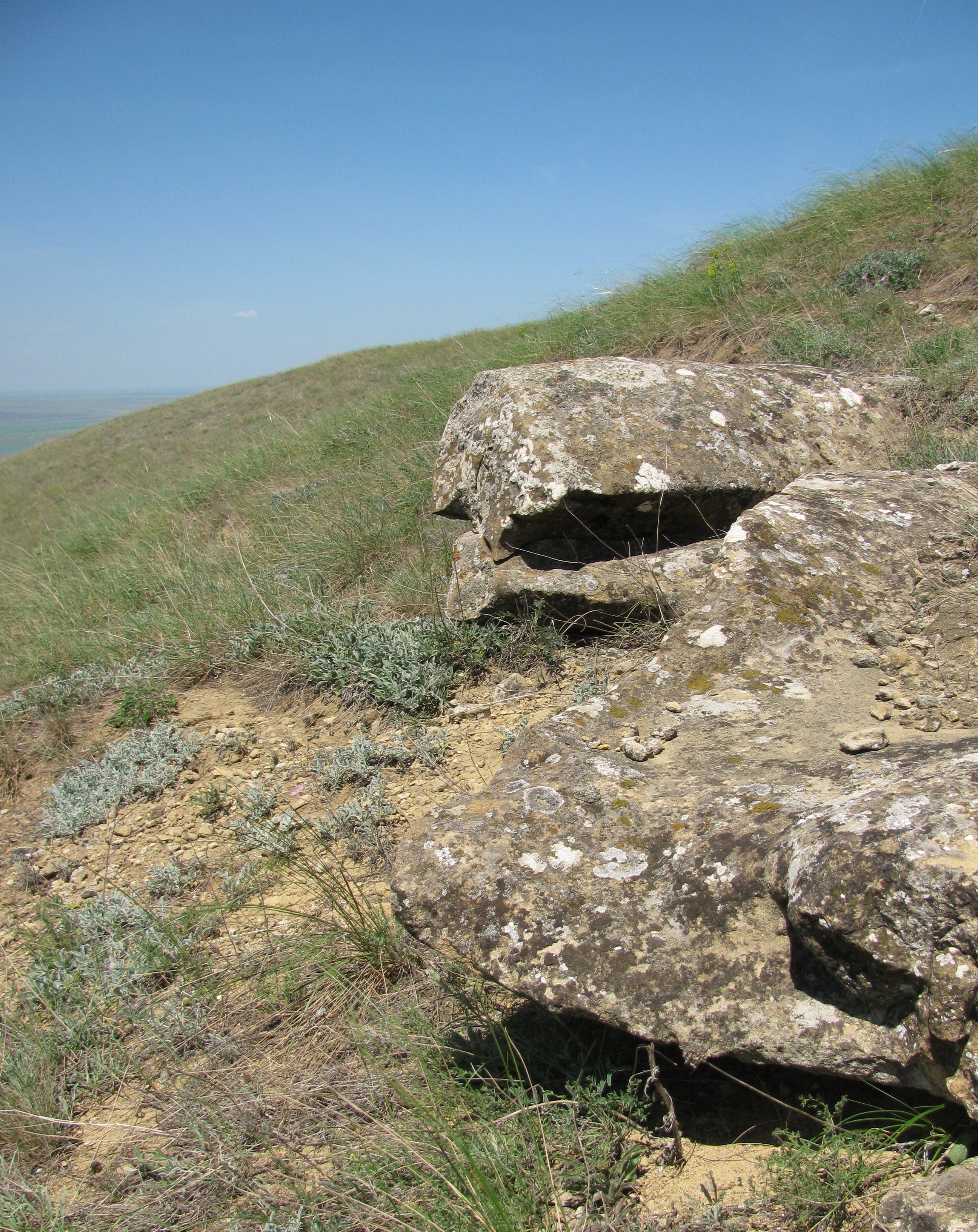 Выход камня. Скальный выход Камешок село косой брод.