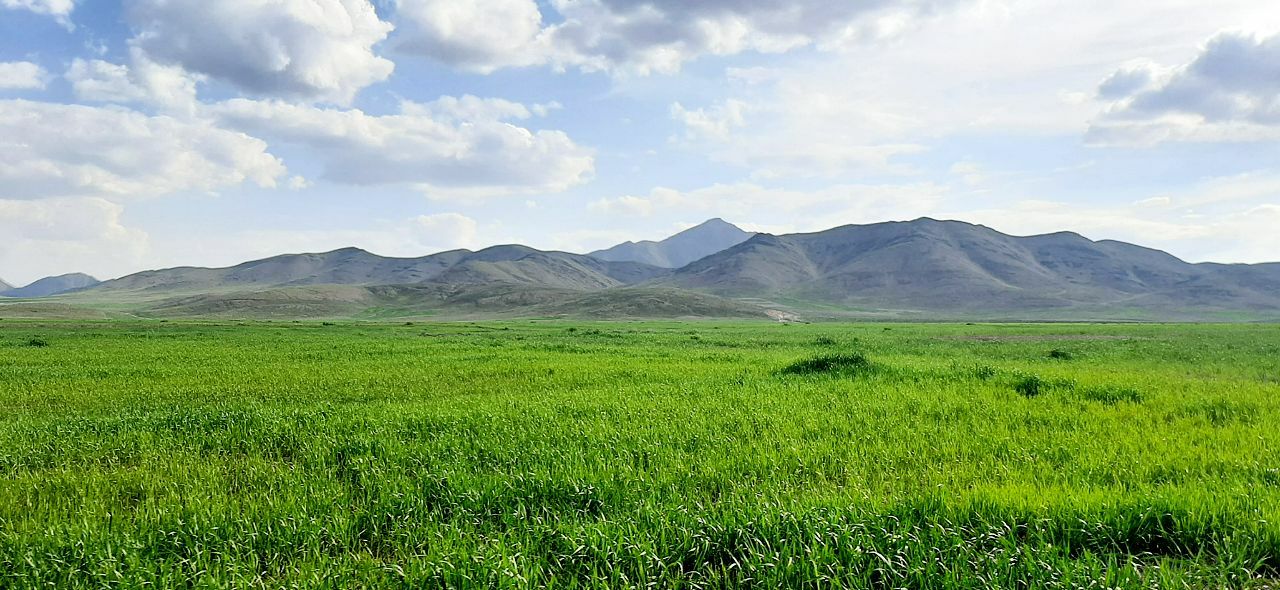 روستای مشهدالکوبه