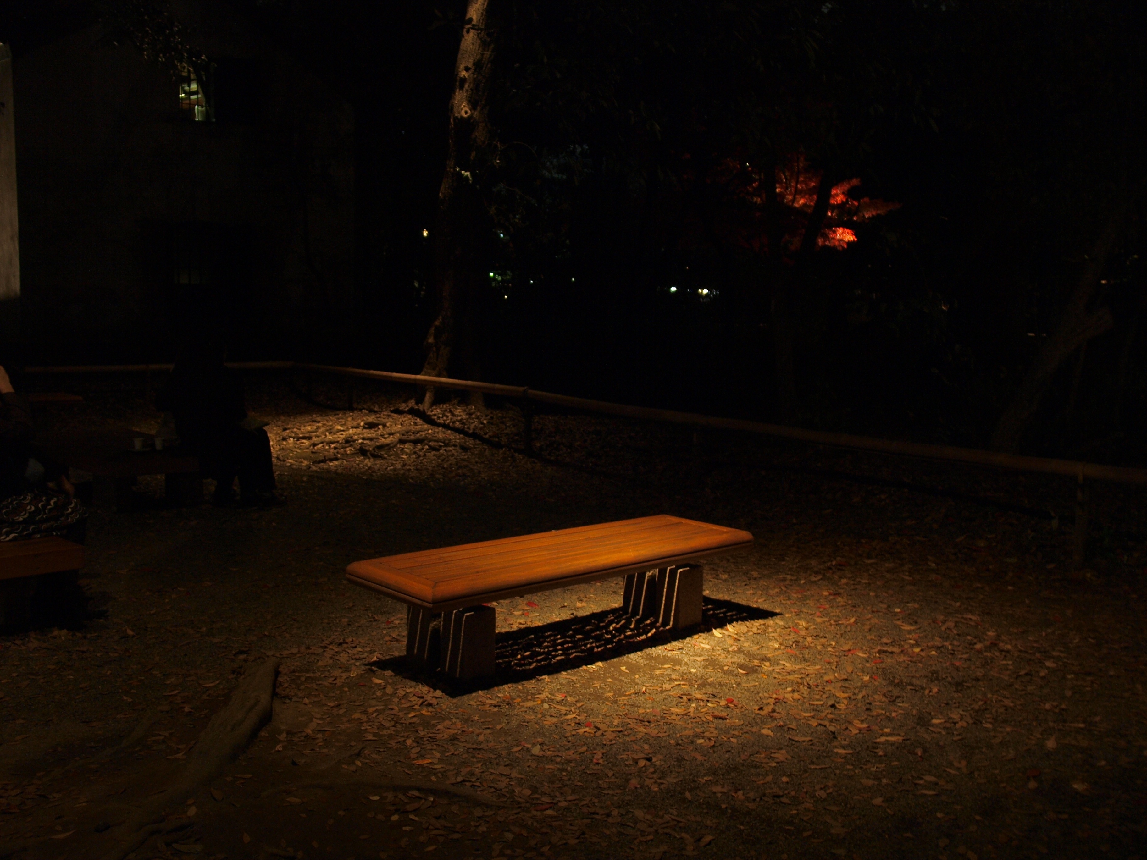 File 夜の防犯ライティング 公園ベンチ Jpg Wikimedia Commons