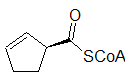 File:2-Ciclopentenil CoA.png